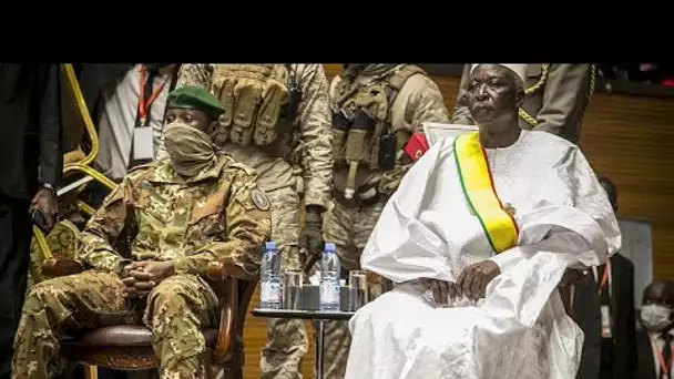 Le Mali suspendu de la Cédéao après le coup d'Etat militaire