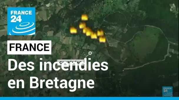 Incendies en Bretagne : la forêt de Brocéliande en proie aux flammes • FRANCE 24