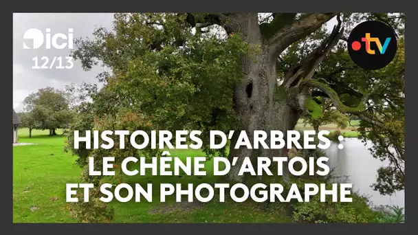 Histoires d’arbres : le chêne d’Artois et le photographe Norbert Bardin - Ep. 4/4