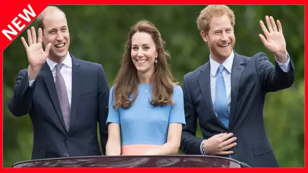 ✅  Le prince William fait un pas de plus vers Harry : ce beau geste assuré en leurs noms