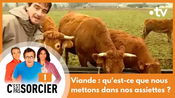 Viande : qu'est-ce que nous mettons dans nos assiettes ? - C'est pas sorcier