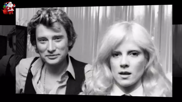 Johnny Hallyday et Sylvie Vartan : leur ancienne demeure mise en vente