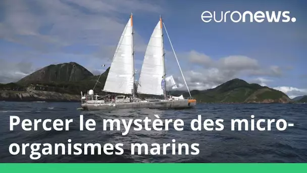 Un navire de recherche pour percer les secrets des micro-organismes marins