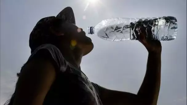 Canicule aux États-Unis : à Phoenix, les habitants épuisés par une vague de chaleur qui s'éternise