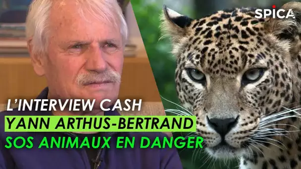 SOS animaux en danger : l’interview cash Yann Arthus-Bertrand