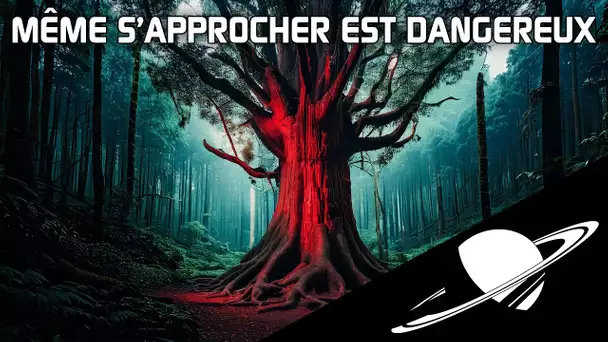 🪐L'arbre le plus dangereux du monde... se trouve en France !