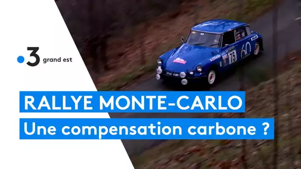 Epernay : des arbres pour compenser la pollution carbone du rallye Monte-Carlo Historique ?