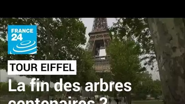 France : l'abattage prévu d'arbres au pied de la Tour Eiffel suscite la polémique • FRANCE 24