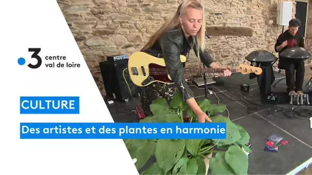 Saint-Benoît-du-Sault : la musique à base de plantes vertes, une idée originale