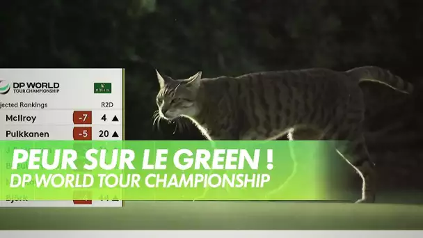 Peur sur le green à Dubaï !