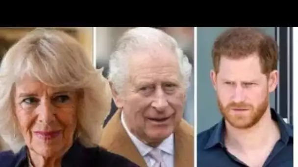 Camilla "contribue" à réparer la relation "fr@cturée" entre Charles et Harry