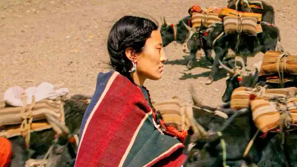 SHAMBHALA Bande Annonce (2024) Tibet, Drame