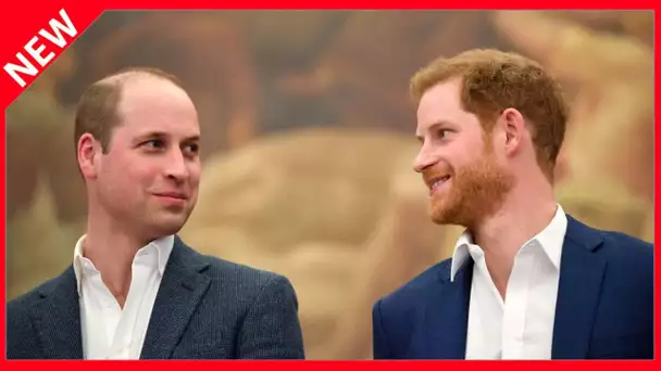 ✅  William et Harry prêts à dépasser leurs différends… pour rendre hommage à leur mère