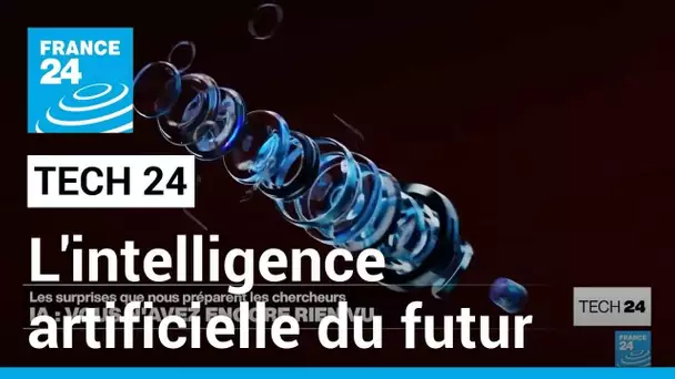 Intelligence artificielle : vous n'avez encore rien vu • FRANCE 24