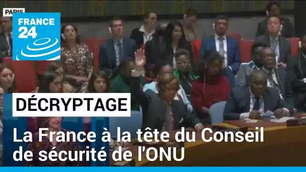 La France à la tête du Conseil de sécurité de l'ONU : quel rôle sur la question palestinienne ?