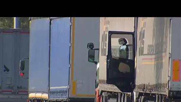 12 clandestins trouvés vivants dans un camion frigorifique en Belgique