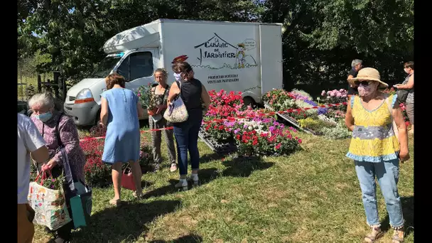 Marché solidaire aux plantes à Mansle en Charente