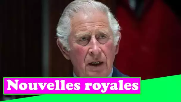 Le prince Charles "a vu l'opportunité de riposter" contre Harry dans un rapport sur les finances roy