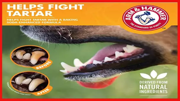 Arm & Hammer for Pets Dental Water Additive for Dogs, Tartar Control | Dog Dental Care Reduces