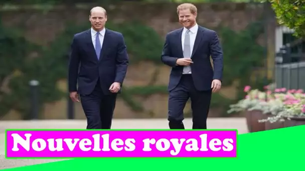 William et Harry portaient des vêtements assortis en clin d'œil subtil à Diana, affirme l'expert