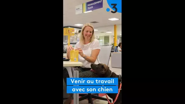 Catherine Brandicourt vient au travail avec son chien