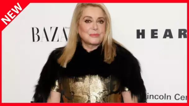 ✅  Catherine Deneuve : découvrez combien elle gagne par film