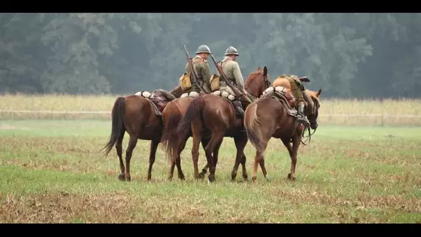 Chevaux chauds, chevaux froids