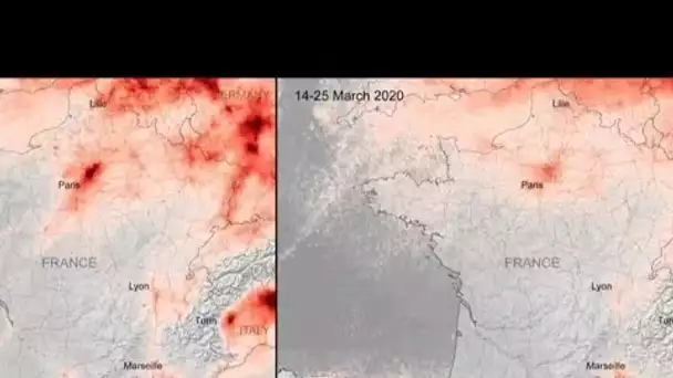 Pandémie de coronavirus : quels effets sur l'environnement ?