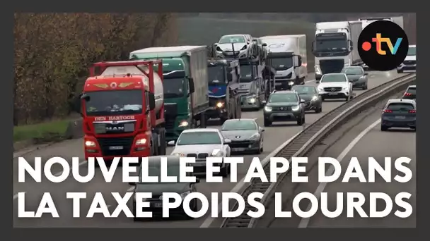 Taxe poids lourds : "c'est le transit qui doit payer, pas les transporteurs locaux"