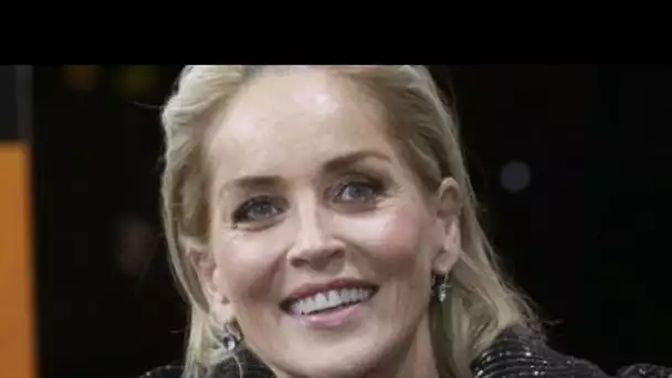 PHOTO Sharon Stone irrésistible à 62 ans : son corps de rêve impressionne les...