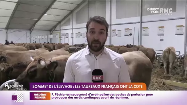 On connaît tous le salon de l'Agriculture, on connaît un peu moins le Sommet de l'élevage