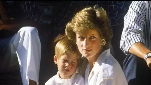 "Ce qu'ils ont fait à maman..." : le prince Harry a-t-il relancé la thèse du complot...