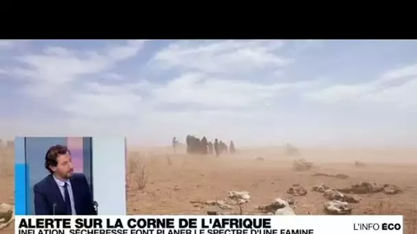 Corne de l'Afrique : l'inflation et à une vague de sécheresse provoquent un risque de famine