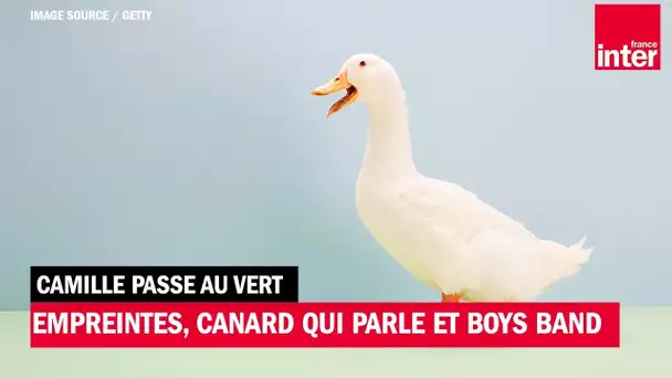 Empreintes de pas, canard parlant et Boys Band à l'ONU - Camille passe au vert