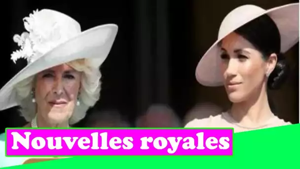 Famille royale EN DIRECT: Camilla «ne pardonnera jamais» à Meghan d'avoir blessé Charles – affirmati