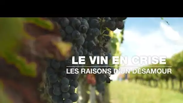 Le vin en crise : les raisons d'un désamour • FRANCE 24