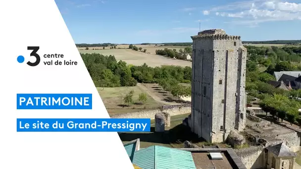 Patrimoine : découverte du Grand-Pressigny; son château et son musée de la préhistoire