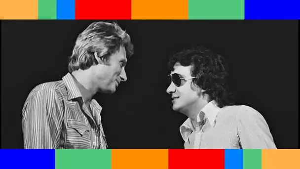 🔥💔  Michel Sardou : le chanteur était fâché avec Johnny Hallyday à cause d'une mauvaise blague sur