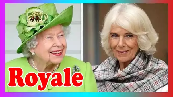 Signification du titre de Camilla: pourquoi l'honneur du nouvel an reine pour Camilla est important