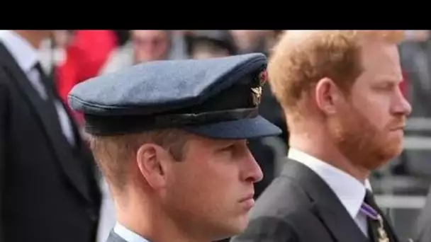 Mettant les différences de côté, Harry et William sont unis dans le chagrin