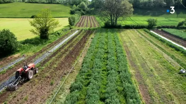 Les jardins des Gorges de l'Aveyron : l'insertion sociale par le maraîchage biologique