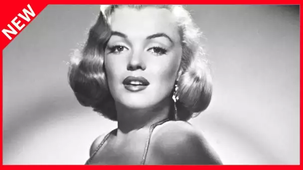 ✅  Héritage de Marilyn Monroe : qui gère aujourd’hui sa fortune ?