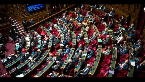 Retraites : les débats s'engagent devant le Sénat, droite et gauche s'affrontent