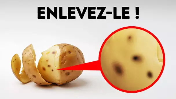 Plus de 90 faits époustouflants pour défier ce que vous savez