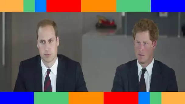 William et Harry  même le souvenir de Diana ne suffit plus à les réunir