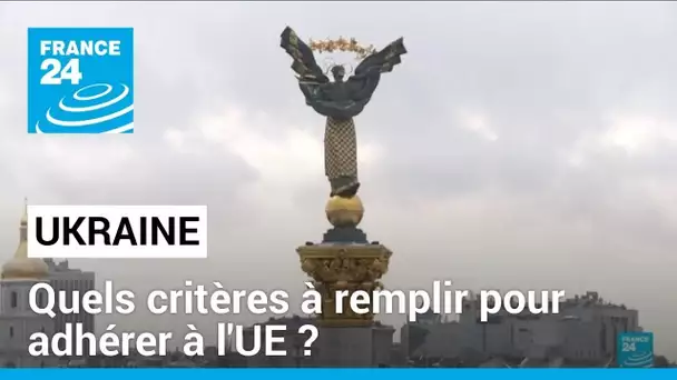 Ukraine : quels critères à remplir pour adhérer à l'UE ? • FRANCE 24