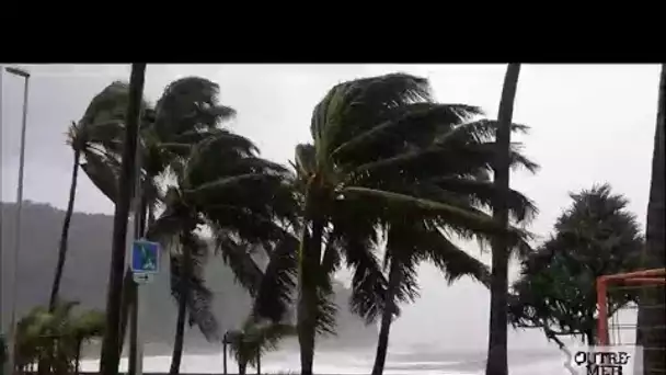 La Réunion : le cyclone Batsirai laisse derrière lui d'importants dégâts matériels