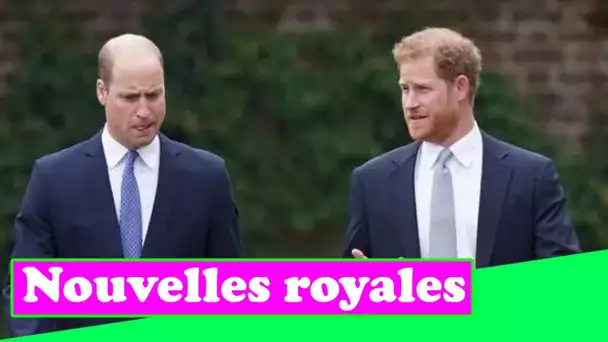 La conversation textuelle du prince Harry et du prince William alors que la relation est «au plus ba