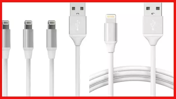 TalkWorks iPhone Charger Lightning Cable 3 Pack (3/6/10ft) Strain Relief Heavy Duty Cord MFI