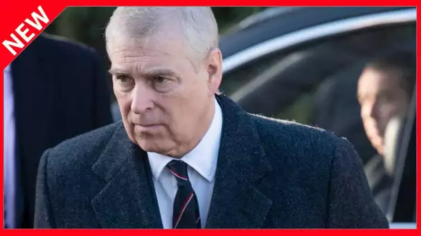 ✅  Le prince Andrew « obsédé par les rousses » : ces révélations gênantes